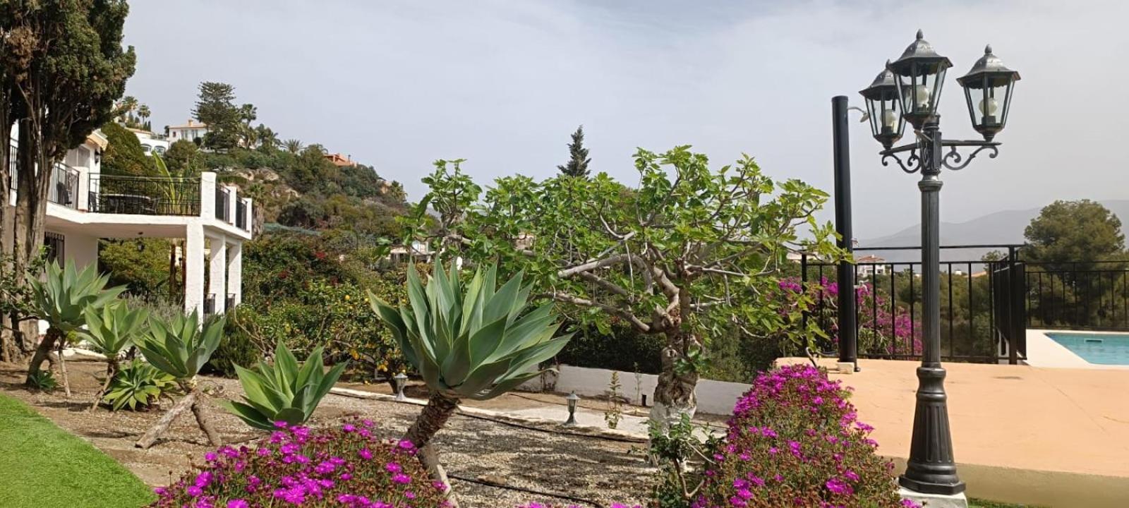 La Torrecica, Con Caracter Andaluz Y Magnificas Vistas Al Mar Y Sierra Nevada Villa Salobreña Exteriör bild